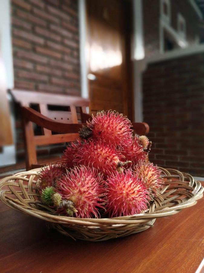 Genthong Homestay Magelang Eksteriør billede